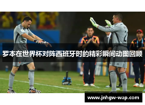 罗本在世界杯对阵西班牙时的精彩瞬间动图回顾